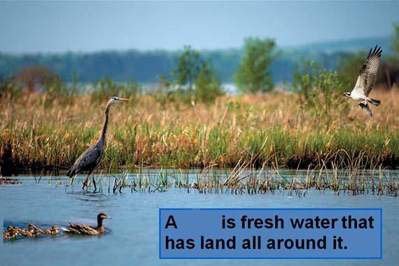 water habitats: