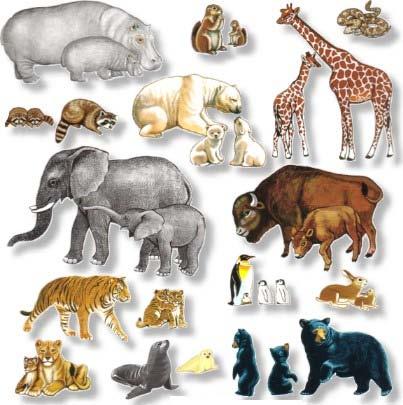 1.5.1 Life science Animals and plants living in different places. Activity: Guess the animal One of you should choose an animal - don t tell the rest of the group keep it in your mind!