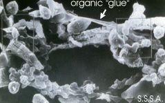 aggregation - organic "glue"