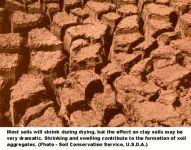 Factors influencing soil
