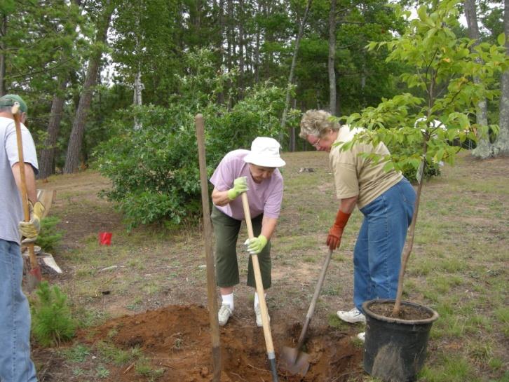 2.1 training introduction Training description: this three-day course is designed for those who perform and/or oversee lakeshore habitat restoration projects on inland lakes with lower energy sites.