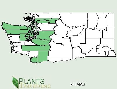 Geographical range: GENERAL INFORMATION USA: CA, OR, WA Ecological distribution: Climate and elevation range: Local habitat and abundance; may include commonly associated species CA: BC R.
