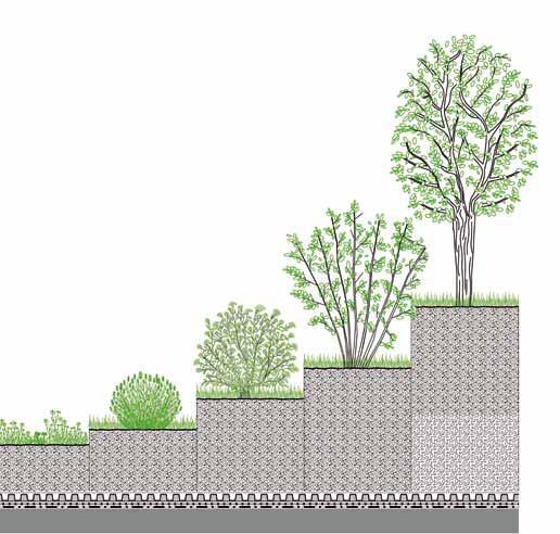 For sophisticated perennial plantings, as well as for bushes and trees, deeper substrate levels are required.