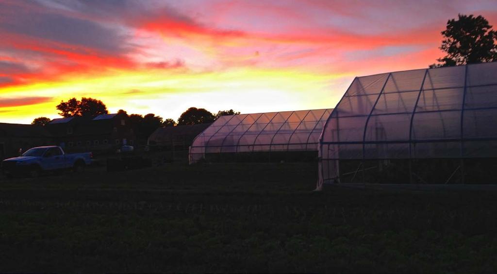 Growing in Movable High Tunnels Reviewing five years