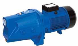 It can be installed into pressure booster systems, watering systems and higher-lying water supply systems. MODEL WPEm 11500 GSS WPEm 11500 GST WPEm 11500 GSH MAX. PRESSURE (bar) 6.5 5.5 7.