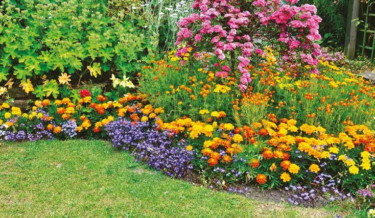 I would like to water borders Easy to control and adjust Caring for plants in borders can