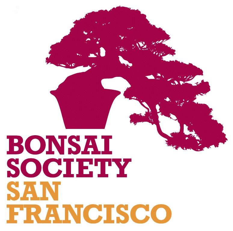 5 June Meeting Notes: Jonas Dupuich At our monthly member meeting on June 8th, Jonas Dupuich educated us on how to evaluate material for the purpose of growing prizewinning bonsai.