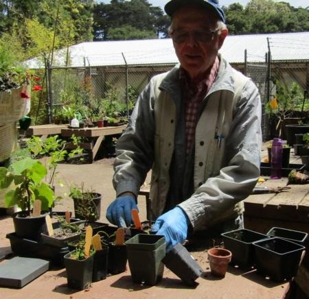SF Botanical Garden and Bonsai Society Workday The next formal work day at the SF Botanical Garden will be Saturday, August 5 at 10:30 AM.