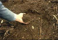Soil Amending Mix 4-6 inches of compost into newly reclaimed or poor soils Mix 1-3 inches into annual garden beds, or into soil
