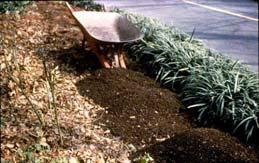 Benefits of Composting Saves money Helps