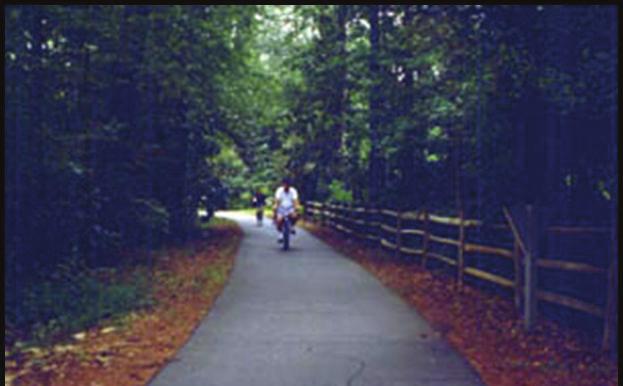 TRAIL SYSTEM AND BOARDWALKS: OBSERVATION TOWER: A hierarchy of trails is designed to connect facilities within the park and to the adjacent properties.