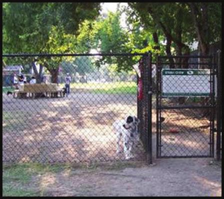 56 DOG PARK: Along the right-of-way of Stripling Chapel Road is a proposed dog park, which is basically a fenced area with gates and a few pet friendly amenities.