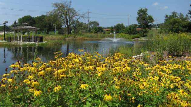 PrairieWalk Pond Lisle, IL Hybrid of Native Vegetation and