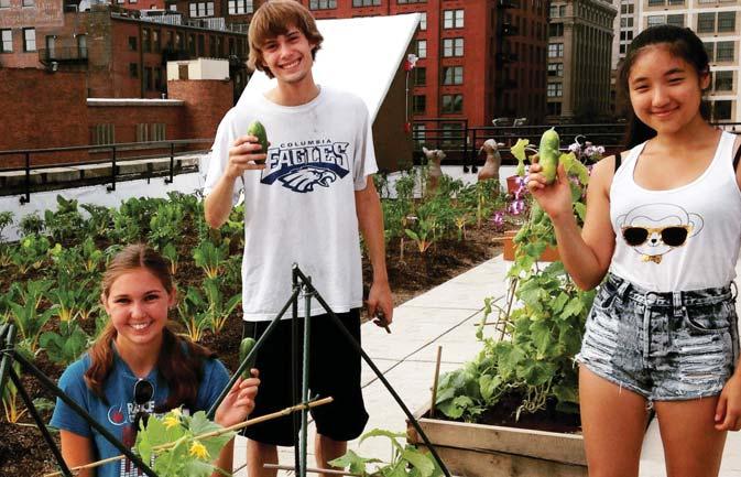 A LOOK AHEAD TO 2016 SO MUCH IN STORE FOR 2016 Grow and donate more food to people who need it Educate and inspire more St. Louis youth Employ farm interns through St.