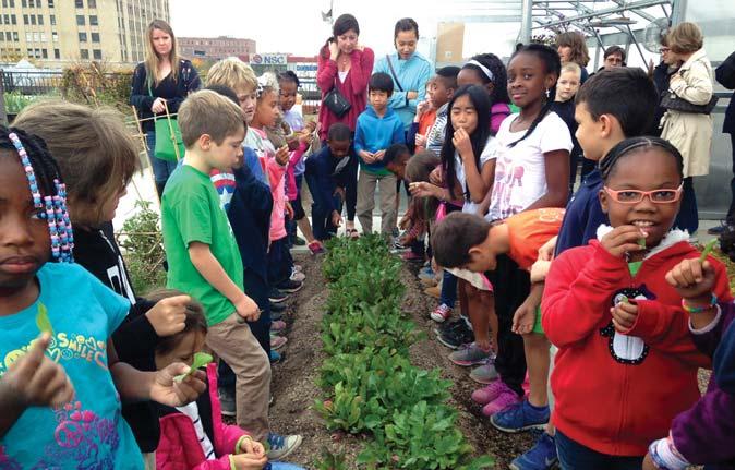 Louis s food deserts Engage the community through rooftop events Host educational workshops on the farm Enhance biodiversity on the farm with chickens and bees Integral to realizing our mission is
