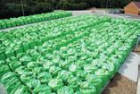 000 kg 160 kg 44 kg 20 kg Wet sludge 4% DS 40 80% organic in DS Mechanical waste water treatment Sieves, Screens, Sand