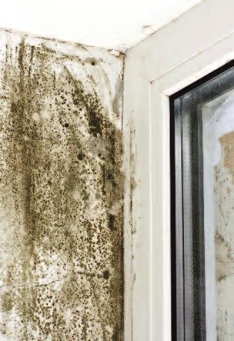 Rain seeping through the roof where a tile/slate is missing, spilling from a blocked gutter and penetration around window frames are all common causes.
