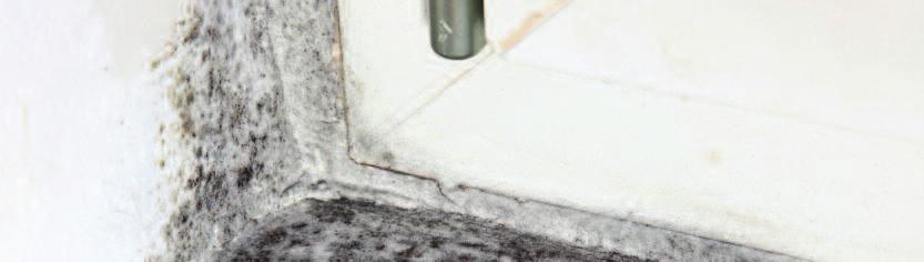 Avoiding condensation and mould growth The following steps could help reduce condensation in your home, the main cause of black mould growth: 1.