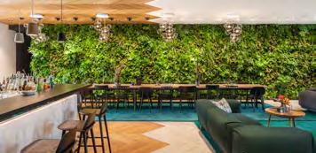 A living green wall with tropical plants connects the entrance to the patio in the rear, blurring the distinction