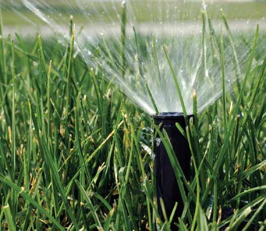 LAWN & GARDEN In the summer months, watering your yard can account for 50% of your total water use. Using less water outside makes a lot of sense.