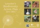 the plan CS Policy 17 Biodiversity need for ecology surveys, sufficient mitigation and/or compensation for loss and disturbance CS Policy