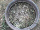 Vermicompost manure (d) Coir waste