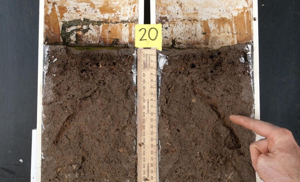 Basic Soil Science Fundamentals of Nutrient Management