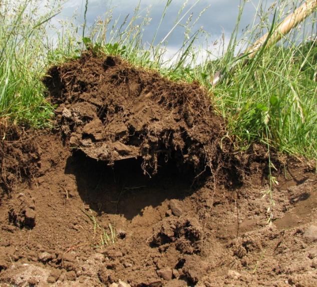 Two questions to ponder: How does organic matter affect soil texture?