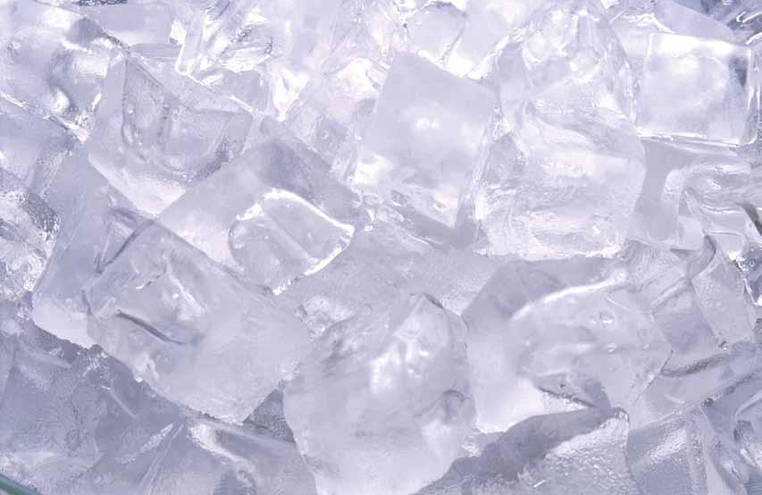 defending your ice machine against undesirable microbes,