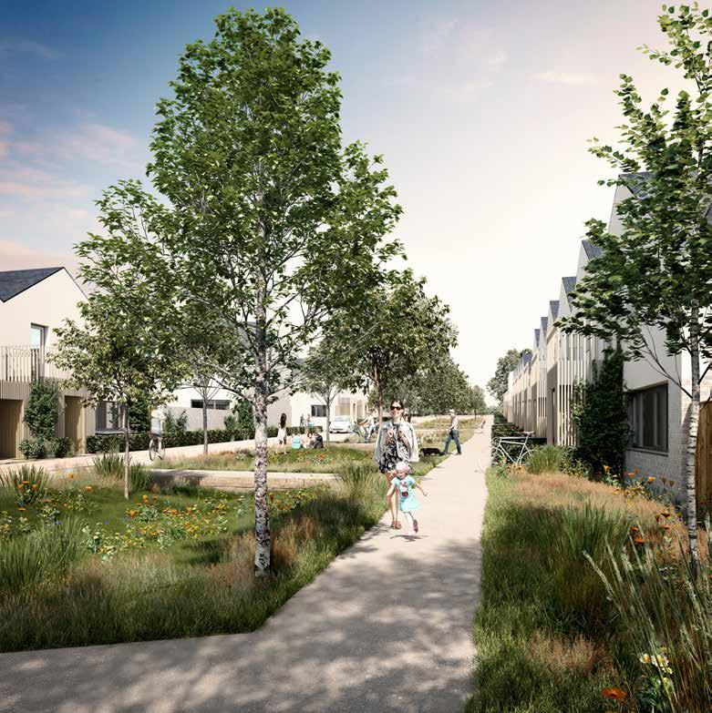 Elderberry Walk Developer HAB Housing Development of 161 new homes on the former Dunmail Primary School site, focused around a central green street, with retained trees, new multifunctional green