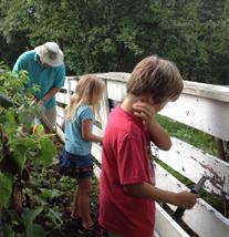 FRIENDS also funds environmental education for youth through our Youth Volunteers-in-Parks program, supports Student Conservation Association (SCA) work on the