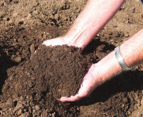 Potting Mixes for s and Container Gardens The following potting mixes are widely used in the commercial horticultural industry and should be suitable for home garden trials.