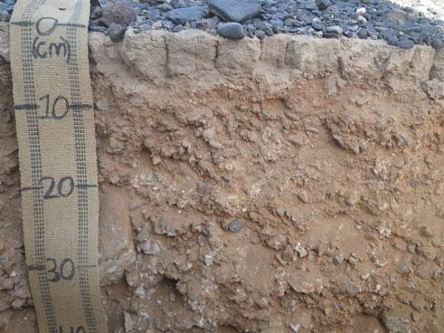 The zone below 100 cm is saprolite (bedrock so thoroughly altered by weathering that it is soft and clay enriched). Photograph credit: John A. Kelley, Soil Scientist, USDA-NRCS Fig. 2.