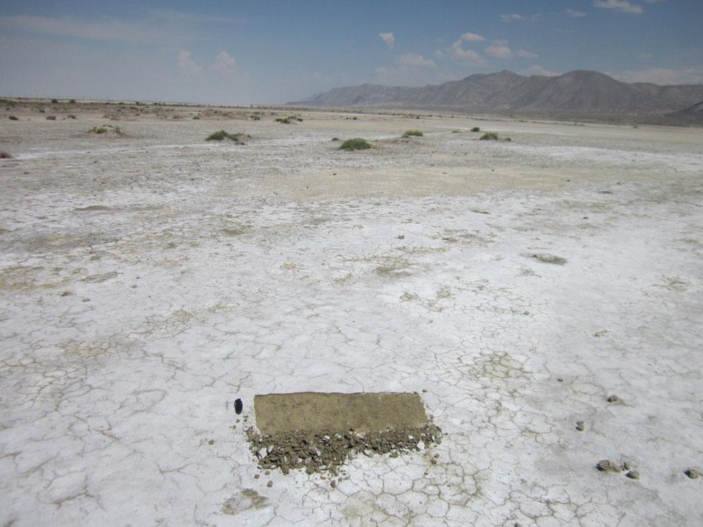2 Concepts of Soil Formation and Soil Survey 17 Fig. 2.11 A salt crust on the surface of Black Rock Playa near Gerlach, Nevada.