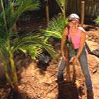 To improve water holding capacity and organic matter to the soil Jody incorporated a