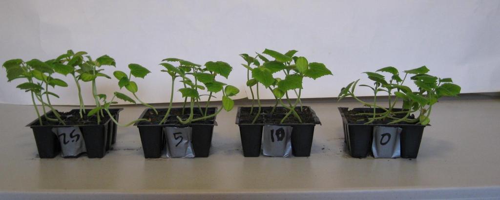 The fly ash increased biomass production for both the cucumbers and tomatoes relative to the control soil.