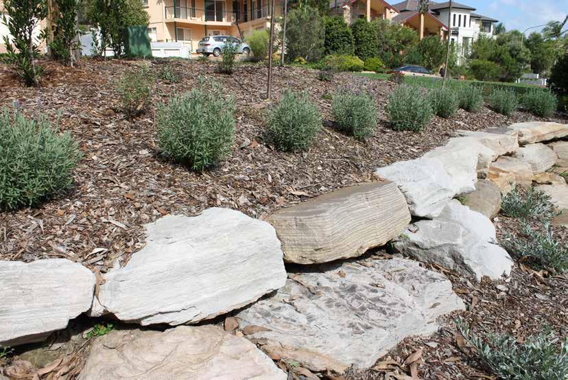 to utilise Sandstone Boulders, which retain the upper