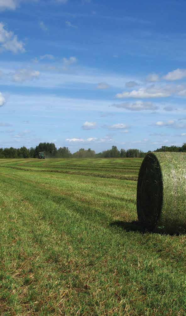 APPLICATORS/MOISTURE SENSORS BETTER BALES WITH THE RIGHT APPLICATION EQUIPMENT Greener hay with high feed value is the ultimate goal of every smart producer.