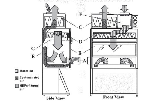 Figure 6. The Class II, Type B2 BSC. A. front opening, B. sash, C. exhaust HEPA filter, D. supply HEPA filter, E. negative pressure exhaust plenum, F. filter screen.