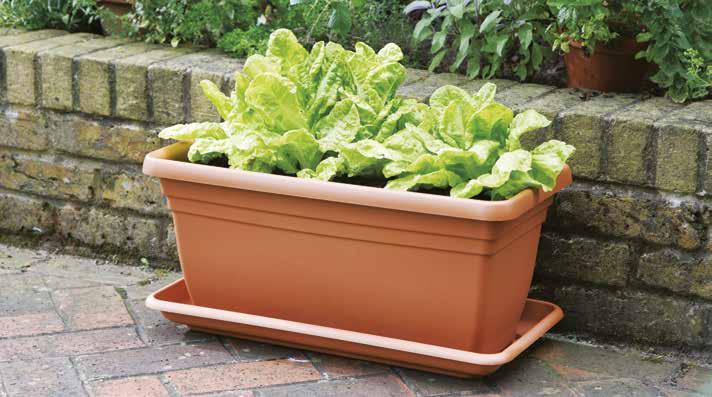 DEEP TROUGH CILINDRO 70cm Cilindro PLANTER COLLECTION 50cm Cilindro Extra Deep Trough specially selected for plants