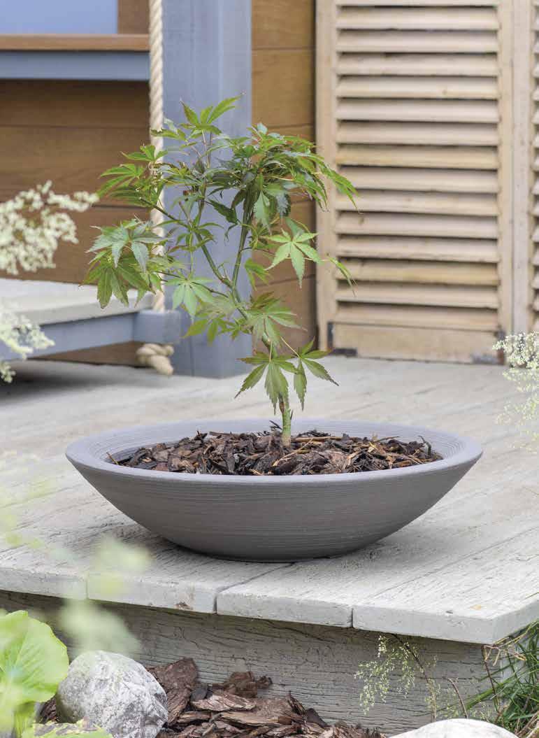 5011431110775 1 DECORATIVE PLANTERS NEW FOR 2017