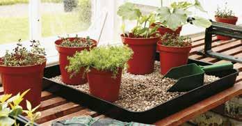 5cm 5022938311053 5 Growing centre (Contents may vary) Tomato Pot (Culture Ring) Growing Centre 54cm Gravel Tray 67cm Windowsill Tray 100cm Growbag Tray