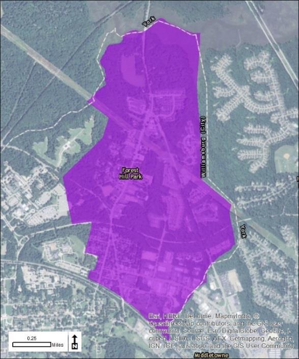 88 Urban Development Areas Williamsburg UDA Needs Profile: Northeast Triangle Planning Area The Northeast Triangle Planning Area is one of four Designated Growth Areas located in the City of