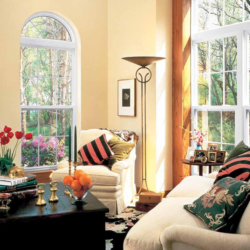 10 Double Hung Windows Reflections and