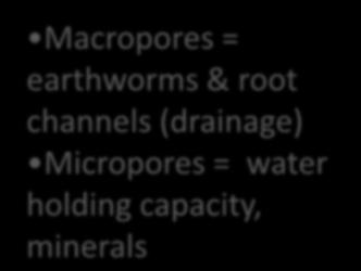 root channels