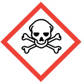 Gas Detection Hazards 3 main types:
