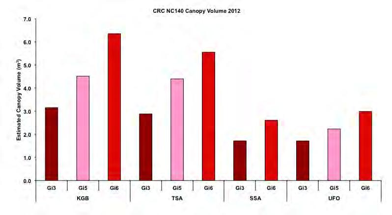 Estimated Canopy Volume, Fall Year 3 KGB revised spacing: 1.75 x 4.0 m (1777/ha) TSA revised spacing: 1.5 x 3.