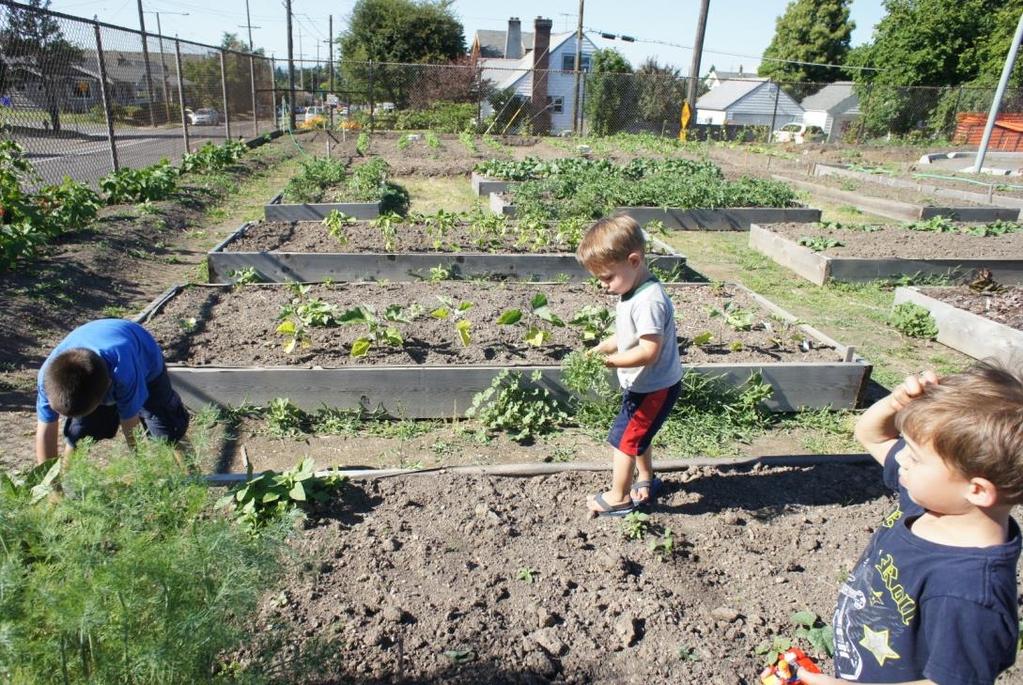 Community Gardens-- personal consumption or