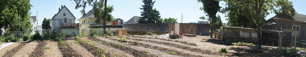 Community Gardens Continue to allow everywhere with no size limit Allow on