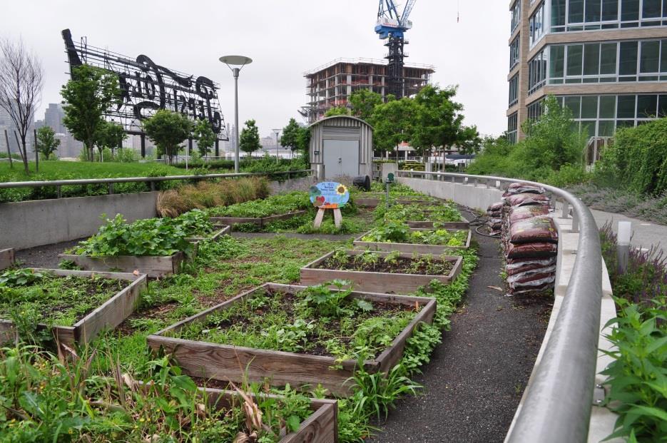 What is Urban Agriculture?